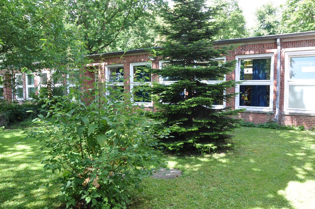 Max planck schule kiel kontaktdaten